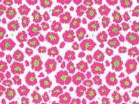 Wild Cat Tissue Paper - Full Ream (240 Pack )