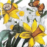 Michel Design Works 20-Count 3-Ply Paper Cocktail Napkins, Narcissus