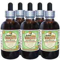 Mesquite (Prosopis Pallida) Glycerite, Organic Dried Seed Pods Alcohol-Free Liquid Extract (Brand Name: HerbalTerra, Proudly Made in USA) 5x2 fl.oz (5x60 ml)