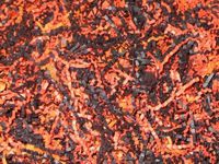 U Choose Size! Halloween Black & Orange Gift Basket Shred Crinkle Paper Filler (8 Oz Bag)