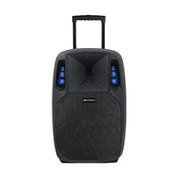 Soundstream 12" Amplified DJ Speaker Battery Powered 2-wireless mics BT USB