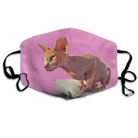 Hateone Unisex Unique Mouth Mask - Cute Canada Cat Graphics Polyester Anti-dust Masks - Fashion Washed Reusable Face Mask for Outdoor Cycling