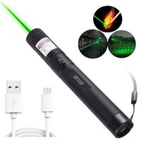 DFSSF USB Charging Green Light Pointer Torch, Demonstration Projector Pen, Handheld Flashlight for Camping Biking Hiking Outdoor.