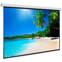 Projector Screen Pull Down 100 Inch 4:3 Manual Portable Movie Screen Matte White