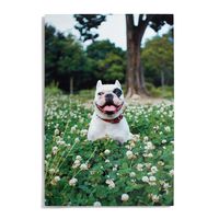 Custom Metal Wall Décor -20x30