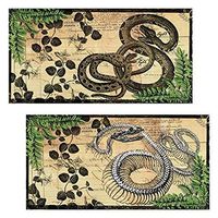 Decorative Matches, (Set of 3 Match Boxes) Long Wooden Matches,Strike Strip on Side of Box- Colored Match Tips- Candle and Fireplace Wooden Matches 4.375" x 2.35" x .75" (Vintage Snakes)