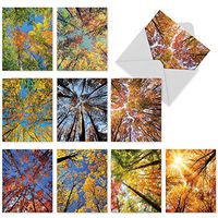 Autumn Treetops - 10 Assorted All Occasion Greeting Cards with Envelopes (4 x 5.12 Inch) - Beautiful Tree Leaves, Inspirational Nature Notecards M2006