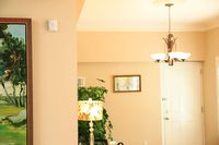 Oplink Connected PIR1301 Motion Sensor (White)