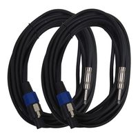 Seismic Audio - SASPT14-25 (2 Pack) - 25 Foot Speakon to 1/4" PA DJ Speaker Cable - 2 Conductor - 14 Guage