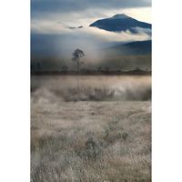 Usstore 3D DIY Painting Vinyl Fascinating Scenery Photography Studio Prop Backdrop Background Home Room Decor Decoration Art Mural (F)