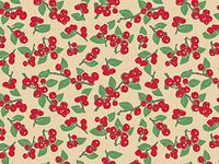 Gold Patriotic Stars On White Art DIY Crafts Tissue Paper for Gift Wrapping 20"X30" 5 Sheets