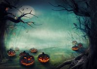 Vacally Halloween Backdrops Ghost, Skull/Bat Vinyl Pumpkin Vinyl 5x3FT Lantern Background Photography Studio Studio Props Art Poster Print Wall Photo Picture (B)