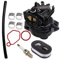 799584 Carburetor for Briggs & Stratton 09P702 9P702 550EX 625EX 675EX 725 EXI 140cc Engines Carb with Air Filter Spark Plug Kit