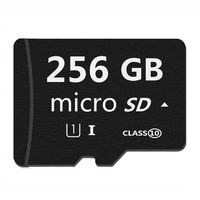 Micro Mini SD Card 256GB, XSSRUN Small Memory Card for Micro Mini SD/XC/HC Class 10 UHS-I High Speed Memory Card for Phone,Tablet and PCs - with Free Adapter