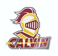 Nudge Printing Collegiate Car Decal Sticker (Calvin College Knights)