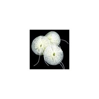 SOTO Compact Mantle for Refillable Lantern, 3 pcs