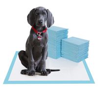 BESTLE Large Pet Training and Puppy Pads Pee Pad for Dogs 24"x24"-80 Count Super Absorbent & Leak-Free