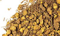 Goldenseal Root c/s (1 lb)