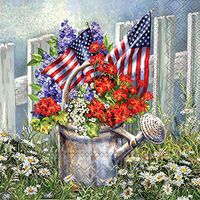 4th of July Patriotic Cocktail Napkins with US Flags, Perfect for Independence/Veterans Day Parties (Patriotic Water Can, 40 Count)