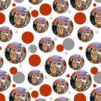 GRAPHICS & MORE Grand Canyon National Park Arizona AZ Animals Cougar Bear Deer Raccoon Premium Gift Wrap Wrapping Paper Roll