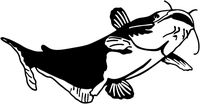 Catfish Decal #1 Fishing Truck/Boat Window Stickers, Die Cut Vinyl Decal For Windows, Cars, Trucks, Tool Boxes, Laptops, Macbook - Virtually any Hard, Smooth Surface, White 8 Inch