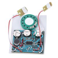 Voice Module, 30s Recordable Music Sound Voice Module Wired Double Button Control Chip 0.5W with Button Battery (1 Pack)