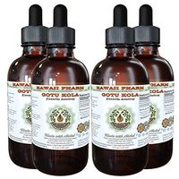 Gotu Kola Alcohol-Free Liquid Extract, Organic Gotu Kola (Centella Asiatica) Dried Leaf Glycerite Hawaii Pharm Natural Herbal Supplement 4x4 oz