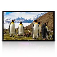 Pyle 110" Matt White Home Theater TV Wall Mounted Fixed Flat Projector Screen - 110 inch 16:9 Full HD Projection - Easy to Set Up for Room Video, Slideshow, Movie / Film Showing - PRJTPFL112