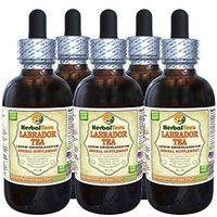 Labrador Tea (Ledum Groenlandicum) Tincture, Dried Leaves Liquid Extract (Brand Name: HerbalTerra, Proudly Made in USA) 5x2 fl.oz (5x60 ml)