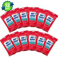 Disinfectant Wipes(12Packs,360Wipes) Soft Antiseptic Cleaning Sterilization Wipes Detergent Large Wet Wipes for All Daily Protection