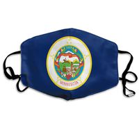 NUNOFOG Flag of Minnesota Unisex Safety Masks Washable and Reusable Cleaning Gardening Dust Respirator Mouth Masks for Men Women One Size