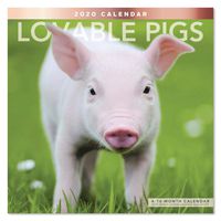 2020 Lovable Pigs Wall Calendar (LME3401020)