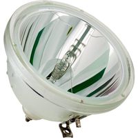 Amazing Lamps BP96-00224A / BP9600224A / 69375 Replacement Bulb Only for Samsung Televisions