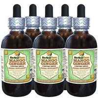 Mango Ginger (Curcuma Amada) Dried Root Alcohol-Free Liquid Extract (Brand Name: HerbalTerra, Proudly Made in USA) 5x2 oz