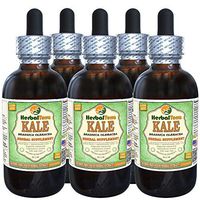 Kale, Red Spiderling (Brassica Oleracea) Dried Leaf Alcohol-Free Liquid Extract (Brand Name: HerbalTerra, Proudly Made in USA) 5x2 oz