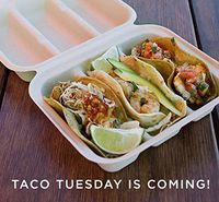 WC Compostable Plant Fiber 8x7x3 Equal Three Compartment Take Out Containers (Taco Box). Case of 300.