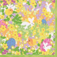 Easter Napkins Lunch Luncheon Paper Napkins Easter Egg Hunt Bunny Meadow Pk 40