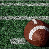 Football Tailgate Rush Disposable Paper Party Supplies 36 Beverage Napkins and Recipe by Gma Olive