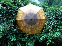 Sunflower Cane Umbrella 46"