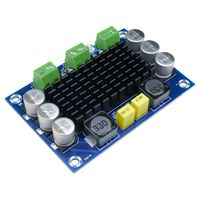 TPA3116D2 Mono Amplifier Board, Aideepen TPA3116DA 100W Mono Channel Digital Power Audio AMP Board DC12V 24V Large Capacity Board