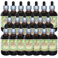 Sanicle (Sanicula Europaea) Glycerite, Dried Herb Alcohol-Free Liquid Extract (Brand Name: HerbalTerra, Proudly Made in USA) 20x4 fl.oz (20x120 ml)