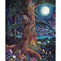 Meidexian888 DIY Diamond Painting, 5D Embroidery Paintings Rhinestone Pasted Cross Stitch Decoration Gift 30x40CM (B)