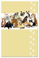Tree-Free Greetings ECOnotes Notecard Set, 4 x 6 Inches, 12-Count Notecards with Envelopes, Kitten Crew (66533)