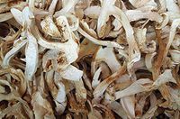 Dried Matsutake Mushroom Premium Grade 300 Gram