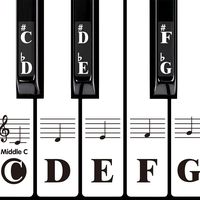 DRMFSLS Kids Piano Keyboard Stickers for 88/61/54/49/37 Key. Colorful Large Bold Letter Piano Stickers Perfect for kids Learning Piano. Multi-Color,Transparent,Removable