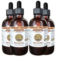 Brain Support and Memory Care Liquid Extract, Ginkgo (Ginkgo Biloba) Leaf, Gotu Kola (Centella Asiatica) Herb, Rosemary (Rosmarinus Officinalis) Leaf Tincture Supplement 4x4 oz