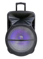 Edison Professional - iRocker 18" Rechargeable PA (EN1500B)