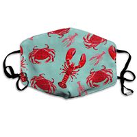 Crab Lobster Crawfish Ocean Nautical Dust Mask,Washable and Reusable Cleaning Gardening Outdoor Activities Warm Windproof Mask