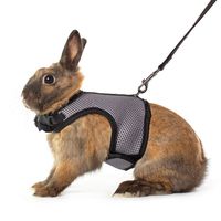 Niteangel Adjustable Soft Harness with Elastic Leash for Rabbits (M, Grey)
