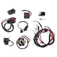 Facaing Complete Electrics All Wiring Harness Wire Loom Assembly for GY6 4-Stroke Engine Type 125cc 150cc Pit Bike Scooter ATV Quad